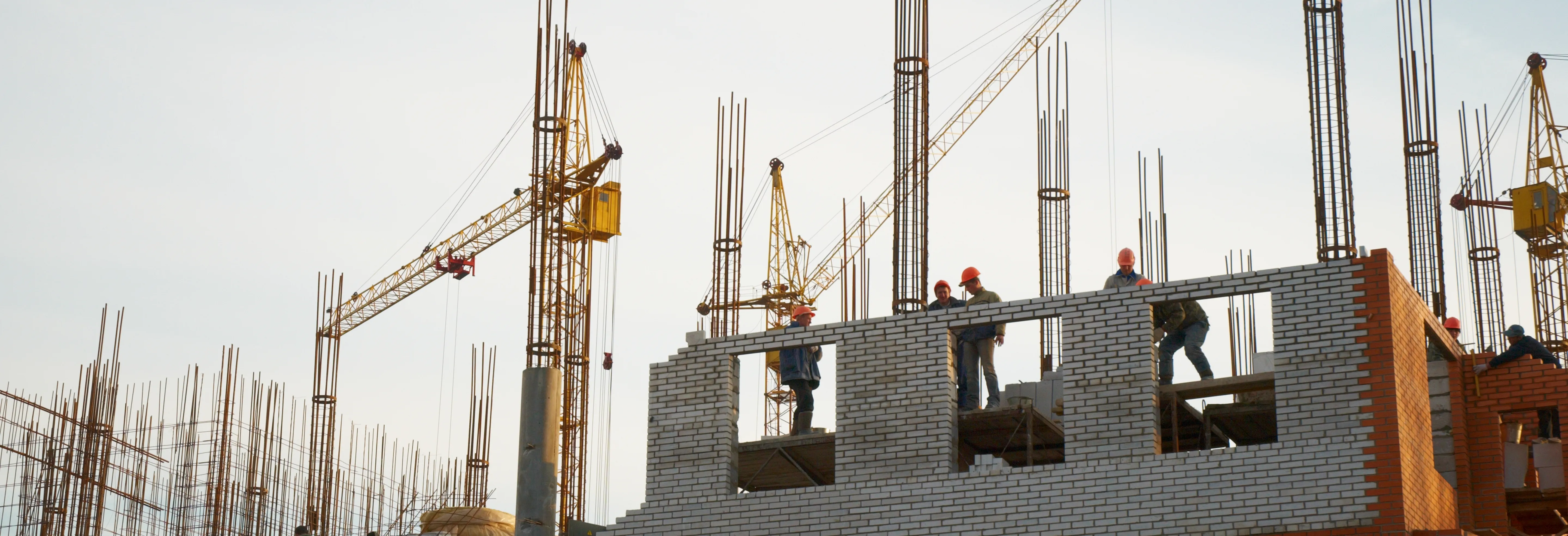 Project Site Banner